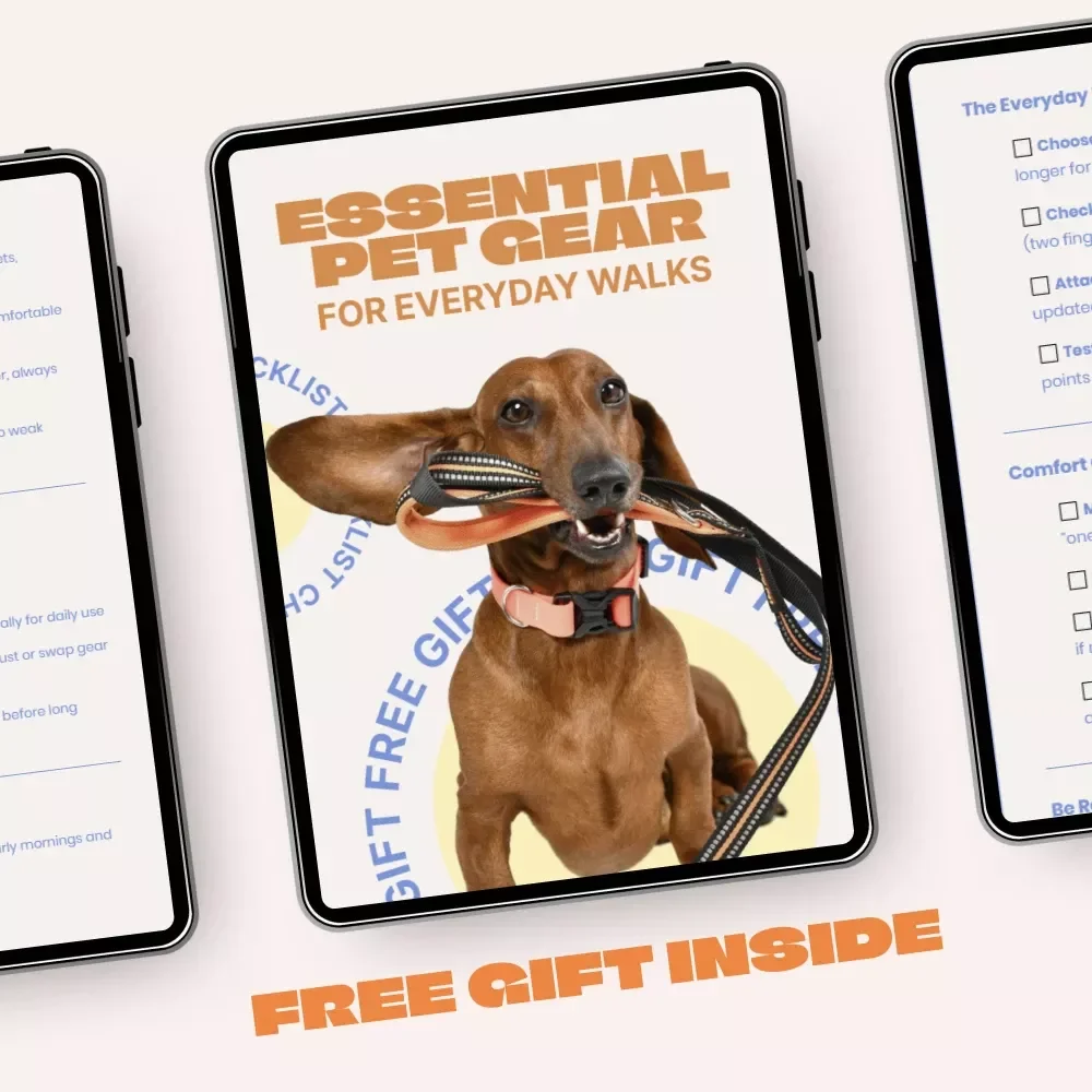 Essential Pet Gear for Everyday Walks | Printable Checklist for Stress-Free Daily Dog Walks | Pet Gear for Everyday Walks Guide