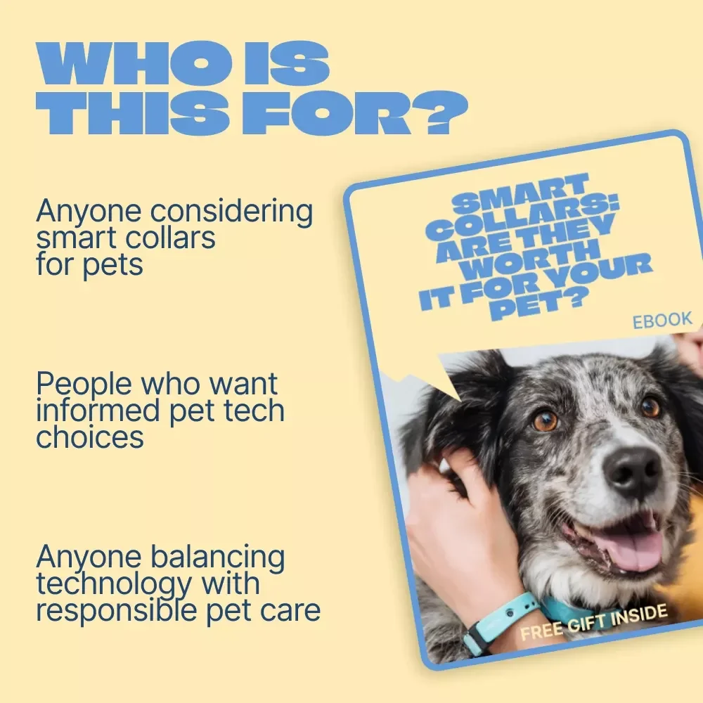 Smart Collars: Are They Worth It for Your Pet | Practical Pet Tech Guide for Owners Asking smart collars is it worth it