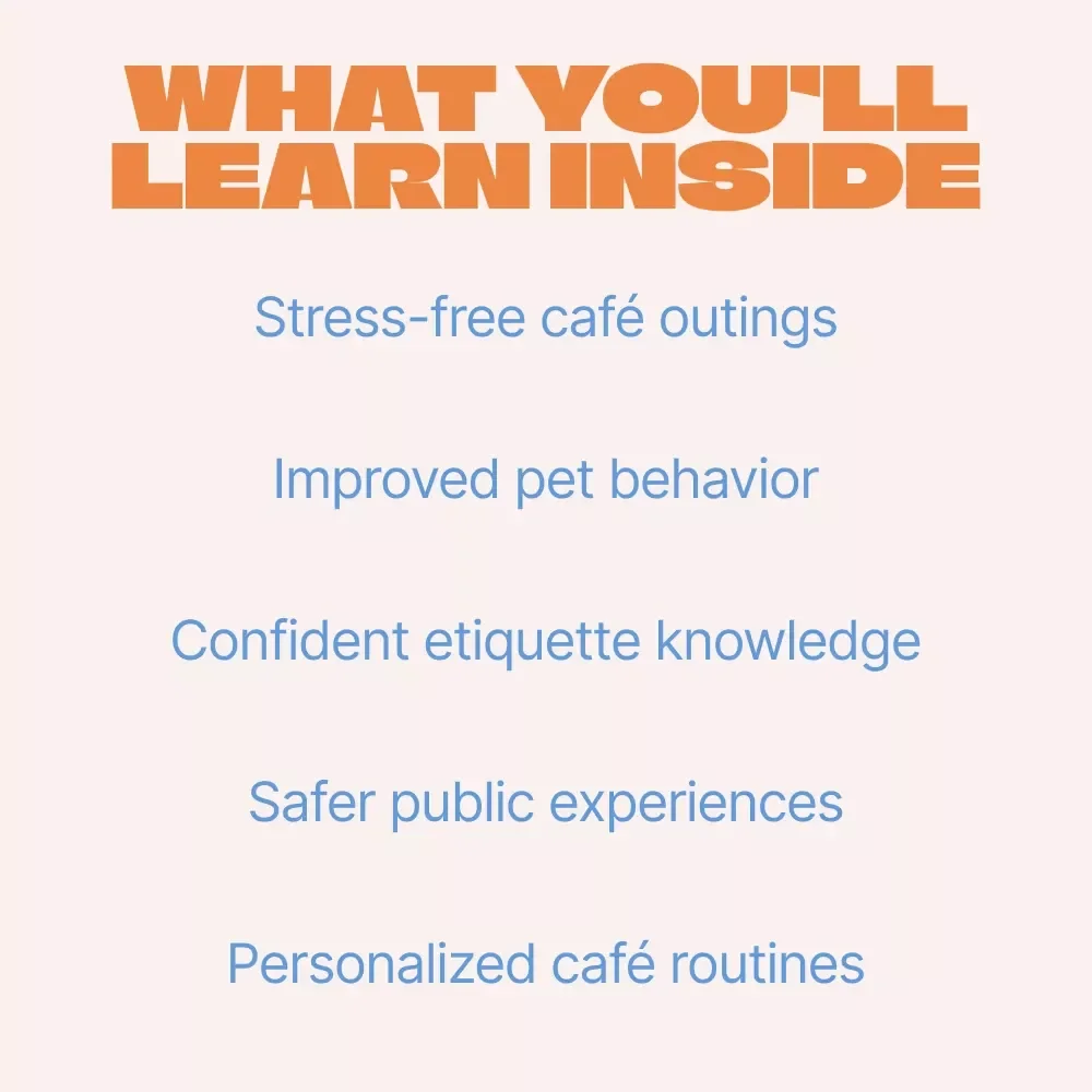 Polite Paws: Navigating Pet-Friendly Cafes – A Practical Guide to Pet Friendly Cafes Etiquette for Well-Behaved Café Visits