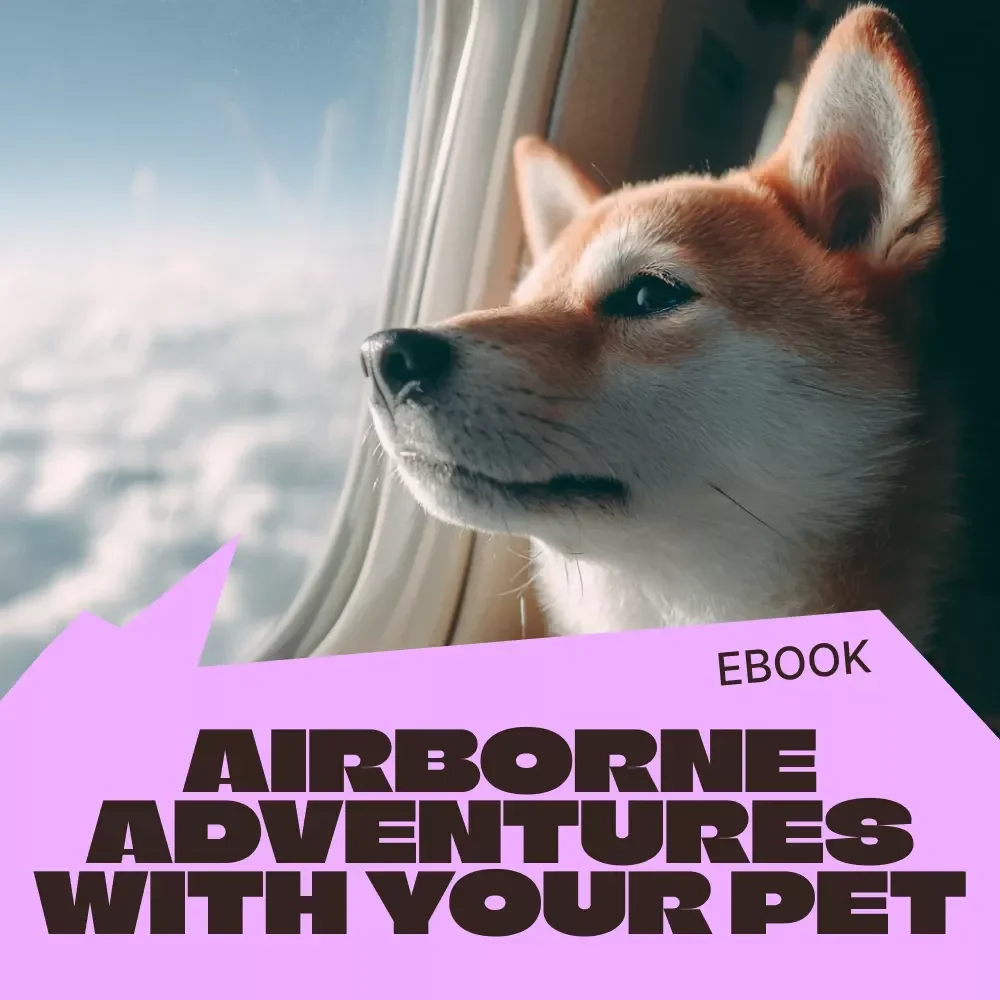 Airborne Adventures with Your Pet | Ultimate Pet Air Travel Guide, Flying with Pets eBook, Stress-Free Airline Travel Checklist