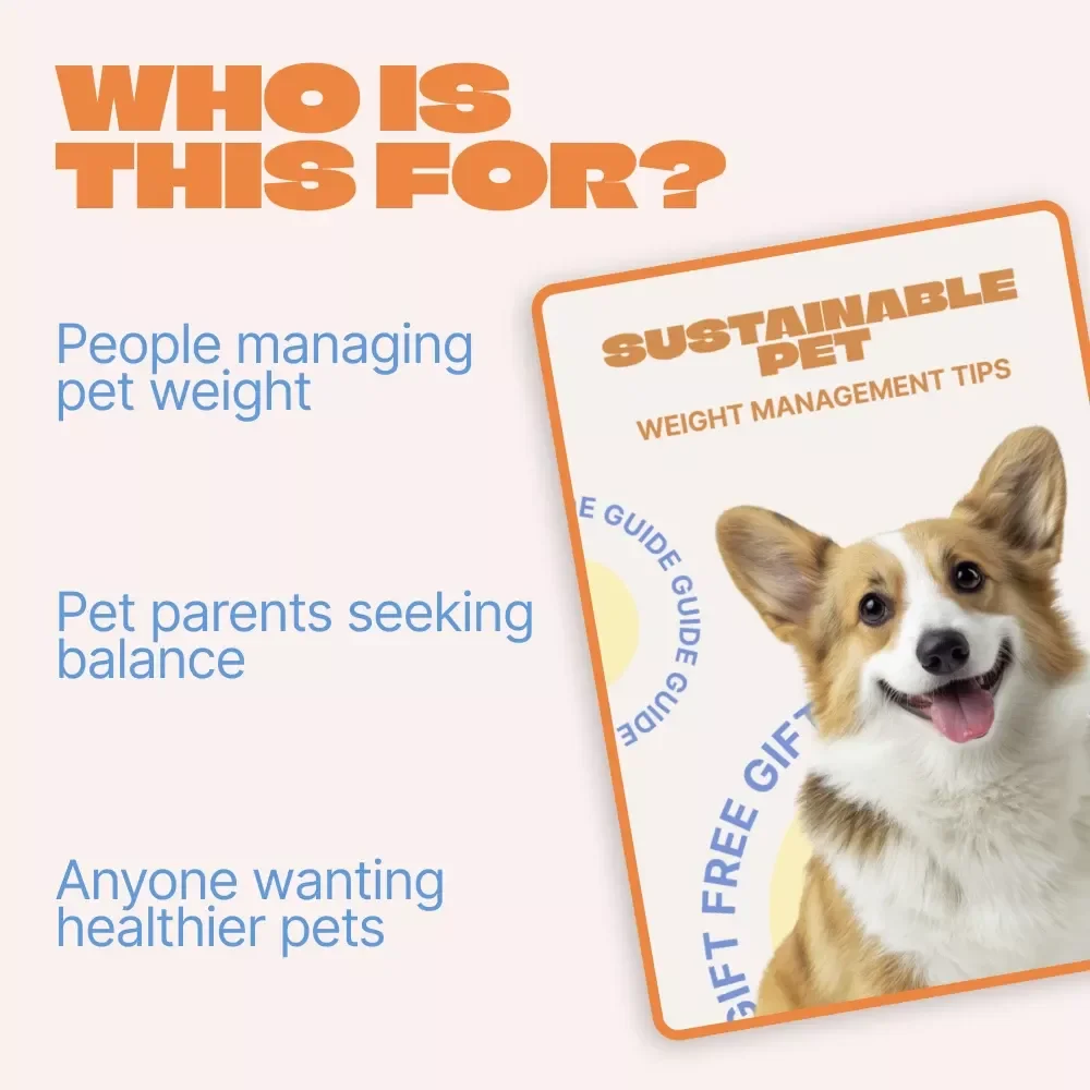 Sustainable Pet Weight Management Tips | Practical Guide for Healthy Pets, Smart Feeding & Long-Term Results | Easy Pet Weight Management Tips for Dogs & Cats