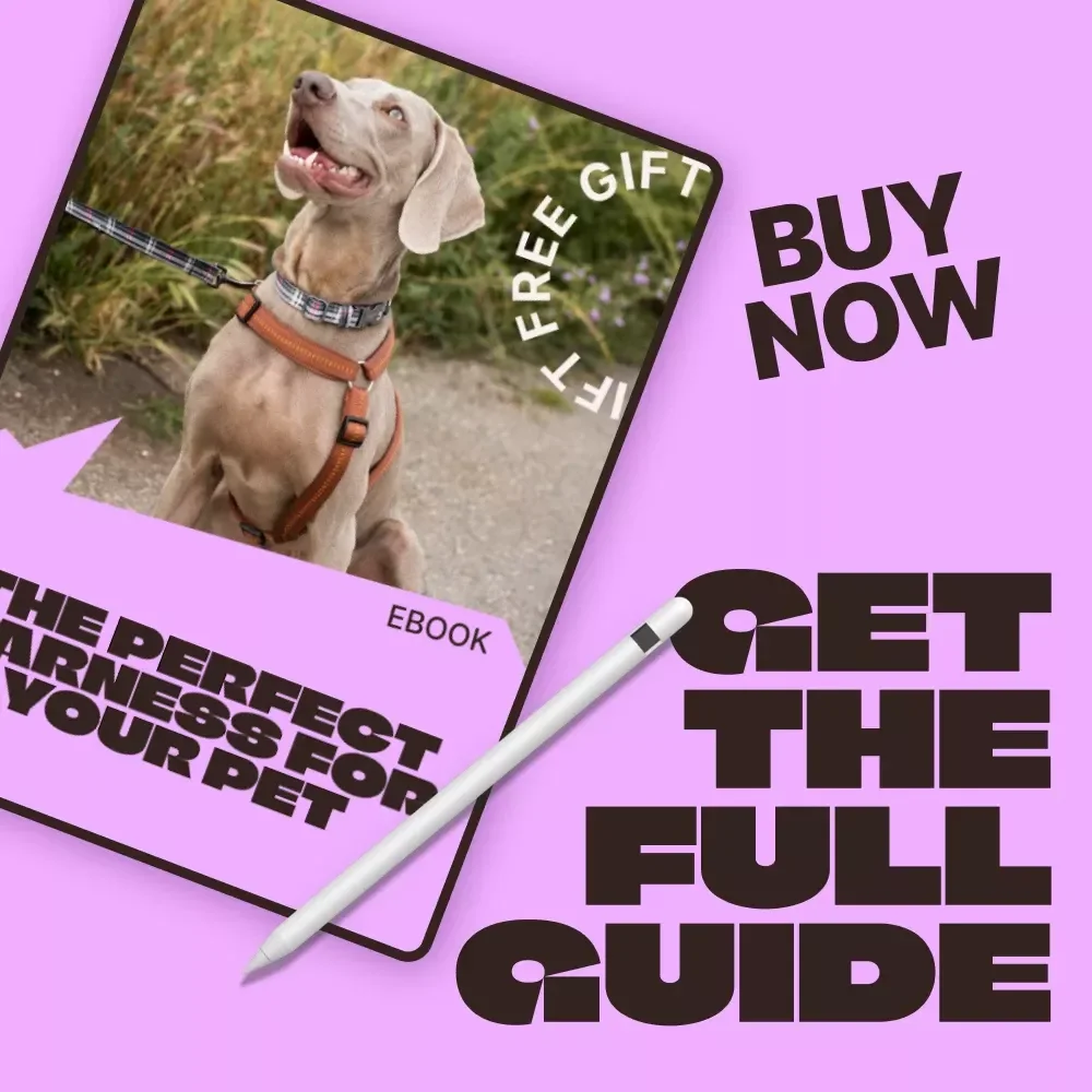 The Perfect Harness for Your Pet | Ebook Guide on How to Choose a Pet Harness | Stress-Free Fit, Comfort & Walking Confidence