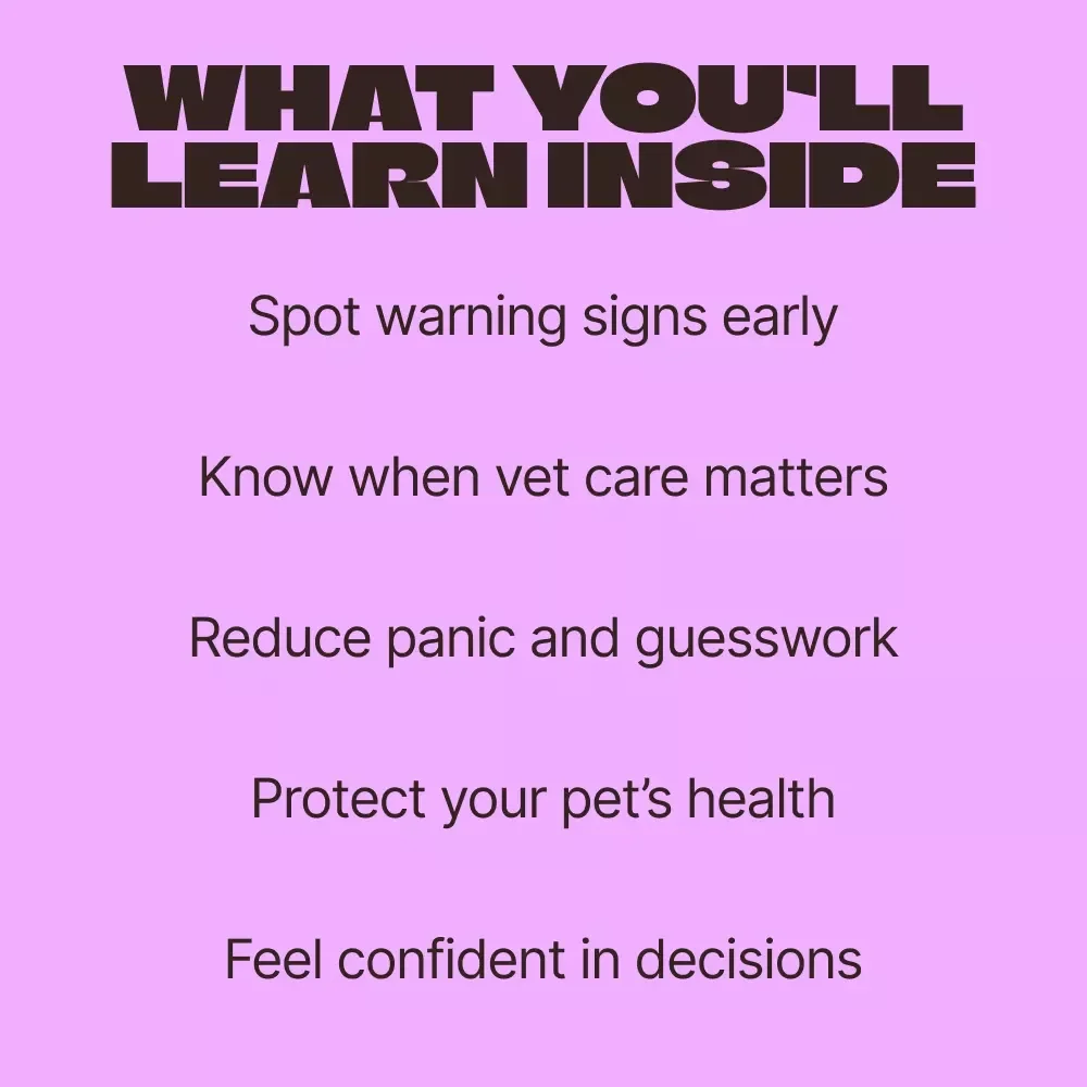 A Pet Parent’s Guide to Spotting Concerning Symptoms – Practical eBook for Pet Owners on when to worry about pet symptoms, Early Warning Signs, Emergency Care & Everyday Health Monitoring