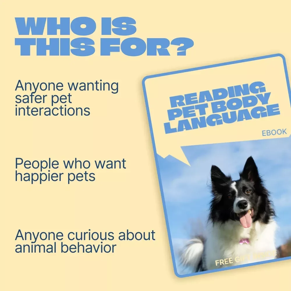 Reading Pet Body Language – A Practical eBook Guide on how to read read pet body language for Dogs, Cats & Small Pets
