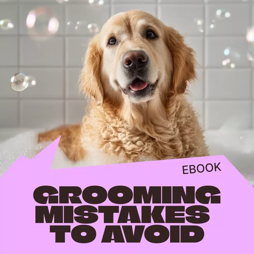 Grooming Mistakes Every Pet Owner Should Avoid | Essential eBook Guide to Grooming Mistakes to Avoid for Healthier, Happier Pets