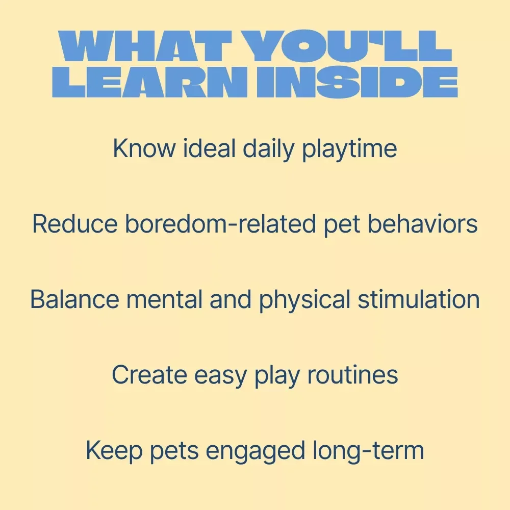 How Much Fun Your Pet Really Needs – Practical Guide to how much playtime pets need, Daily Play Balance, Interactive Ideas & Smarter Pet Enrichment