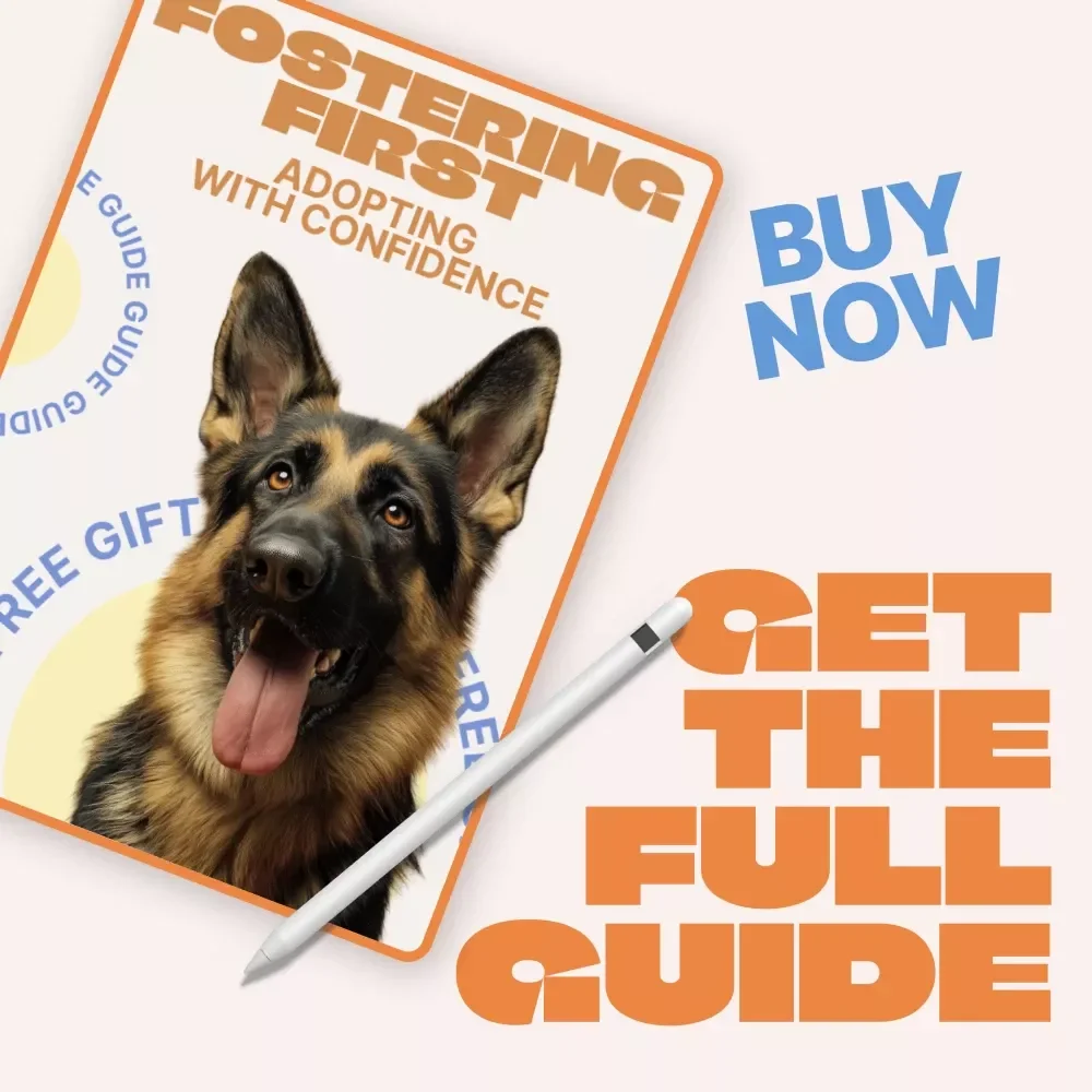 Fostering First, Adopting With Confidence | Practical Guide to Fostering Pets Before Adoption, Real Foster Stories, AI Decision Tools