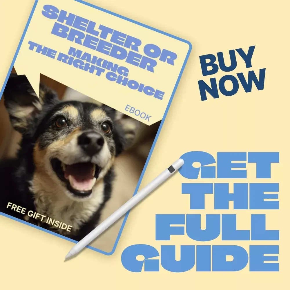 Shelter Or Breeder, Making the Right Choice | Honest Guide to shelter vs breeder differences | Pet Adoption & Buying Decision eBook