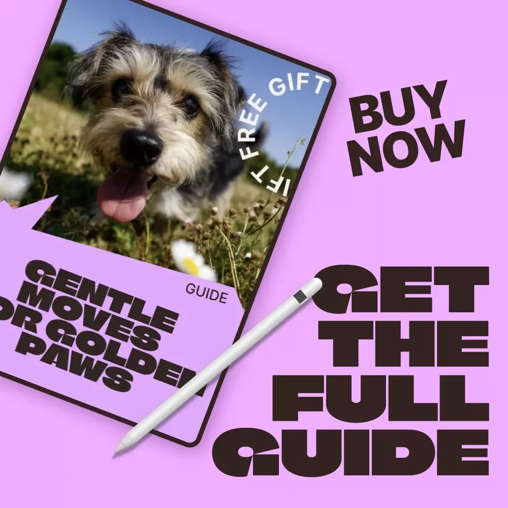 Gentle Moves for Golden Paws – A Practical Guide to Senior Pet Exercise Ideas for Aging Dogs & Cats