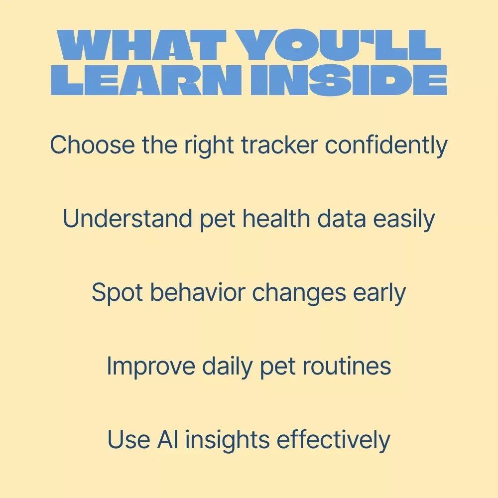 A Complete Guide to Pet Activity Trackers | Digital Guide for Choosing & Using a Pet Activity Tracker