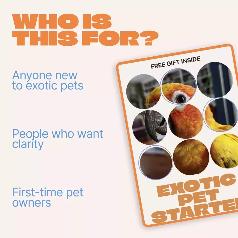 Exotic Pet Starter Checklist | Ultimate Beginner Guide for Exotic Pets for Beginners | Easy Care, Habitat & Feeding Setup