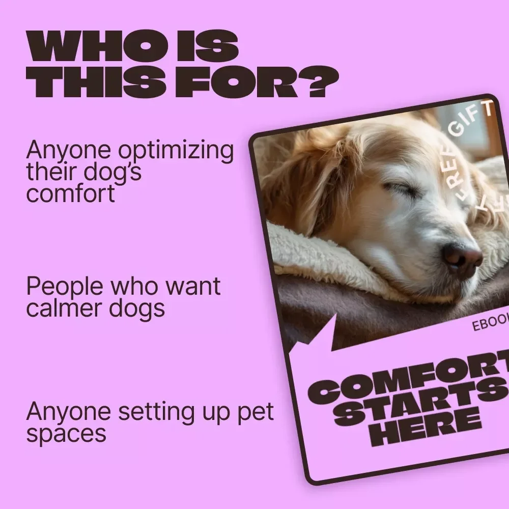 Comfort Starts Here: Dog Bed Placement Guide | Smart dog bed placement tips for a Calm, Healthy, Happy Dog – Digital eBook Download