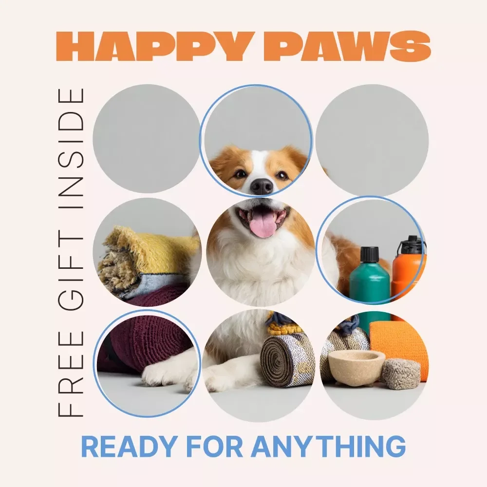 Happy Paws Ready for Anything | Pet Gear Essentials eBook for Everyday Care, Travel & Smart Buying
