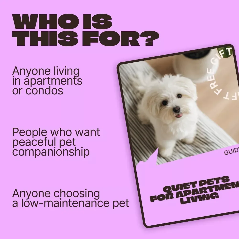 Quiet Pets for Apartment Living | Easy Guide to Quiet Pets for Apartments, Low-Noise Pet Choices, Apartment-Friendly Animals