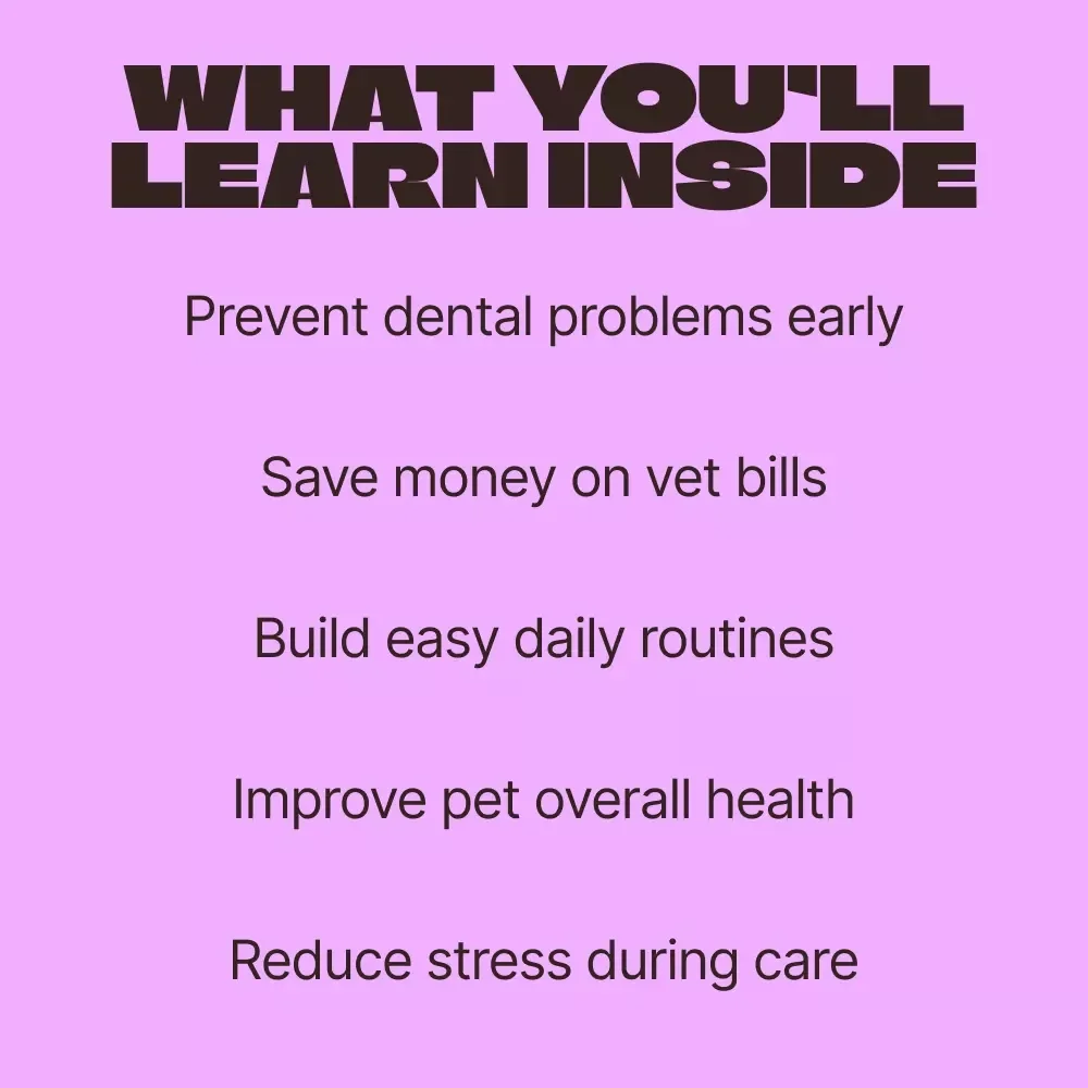 At-Home Guide to Pet Dental Care | Simple Pet Dental Care at Home Routine for Healthier Teeth & Happier Pets