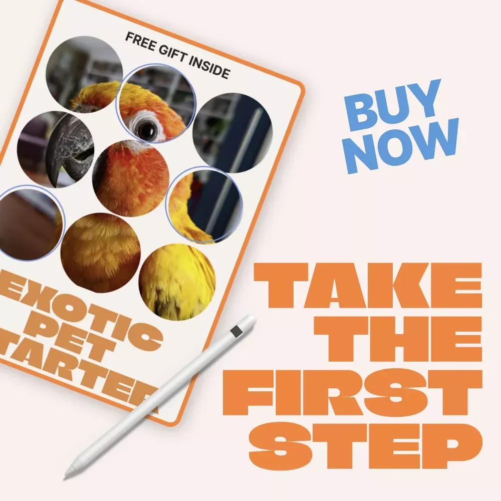 Exotic Pet Starter Checklist | Ultimate Beginner Guide for Exotic Pets for Beginners | Easy Care, Habitat & Feeding Setup