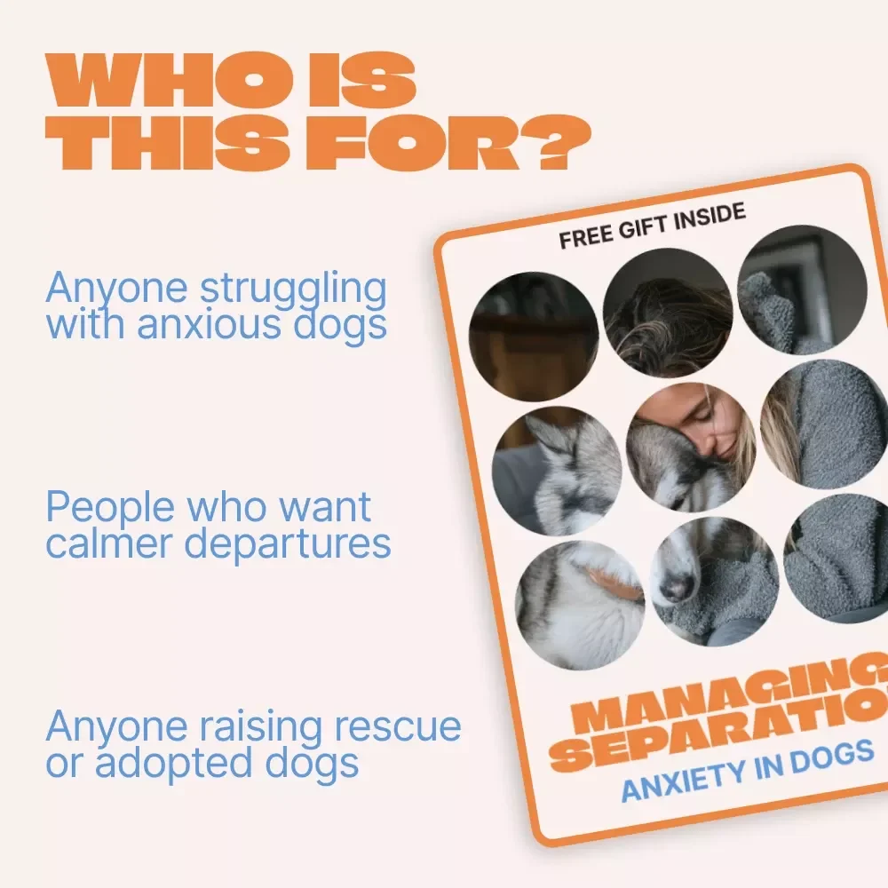 Managing Separation Anxiety in Dogs | Practical Training eBook for Calmer, Confident Dogs | Separation Anxiety in Dogs Guide