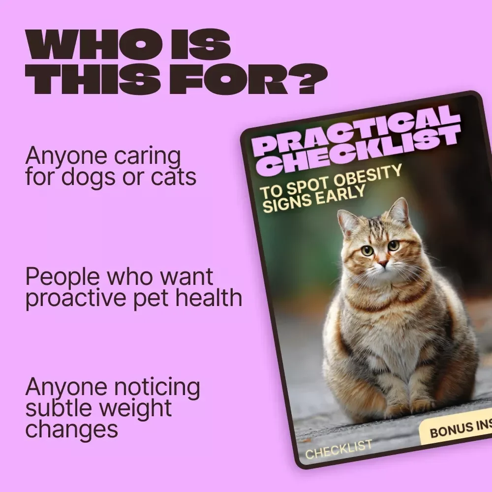 Practical Checklist to Spot Obesity Signs Early – Easy Pet Weight Health Guide | Obesity Signs in Pets