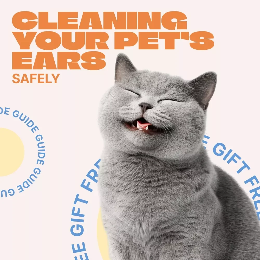 Cleaning Your Pet’s Ears Safely – Easy Step-by-Step Guide to Ear Cleaning for Pets, Dogs & Cats