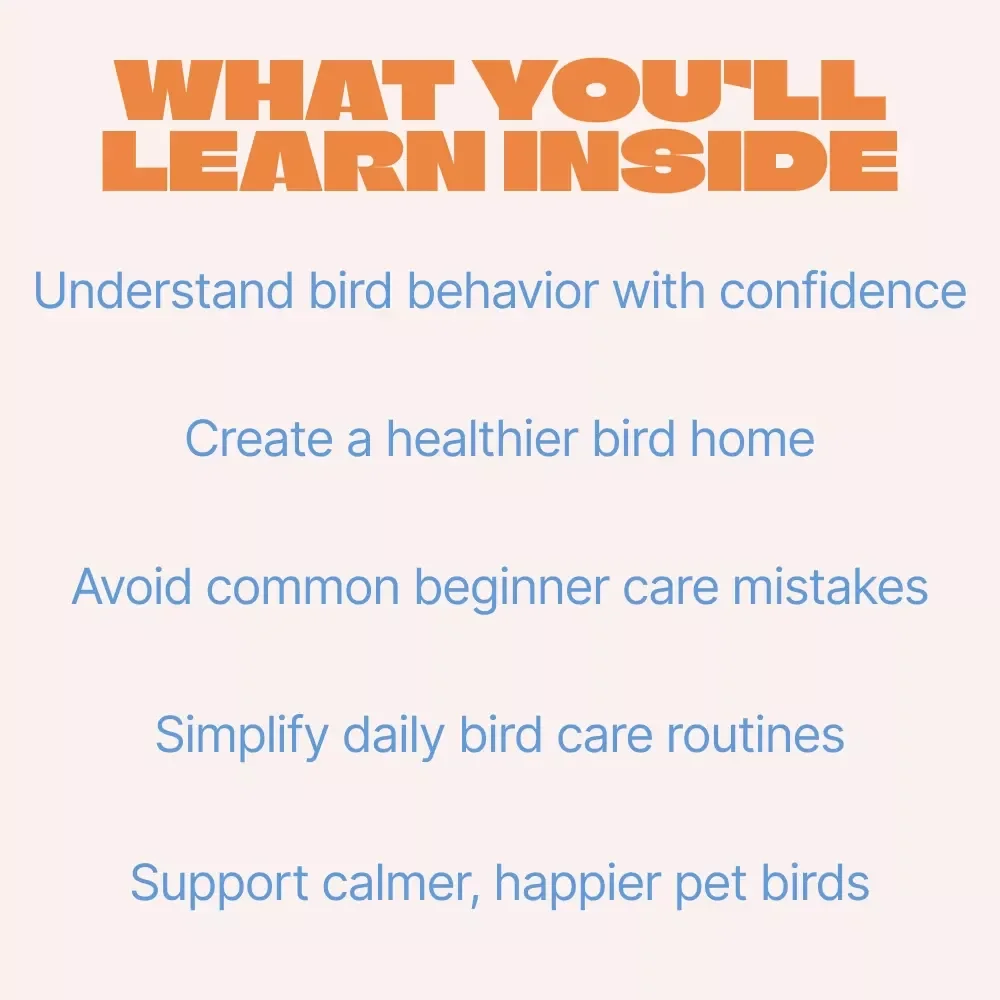 Calm, Happy Birds at Home – A Practical Guide to Bird Care at Home Basics, Behavior, Feeding & Stress-Free Living