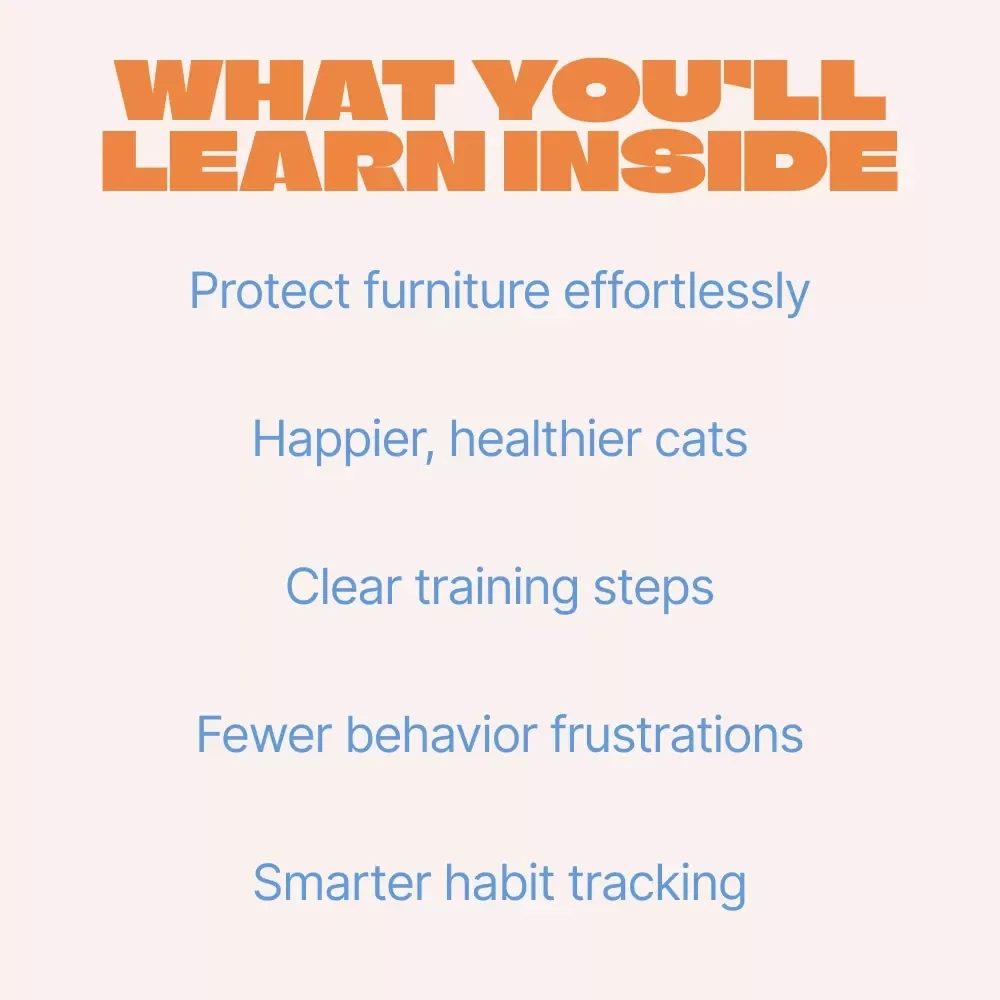 Why Cats Scratch and How to Redirect It | Practical Cat Behavior eBook Explaining Why Cats Scratch Furniture & How to Stop It