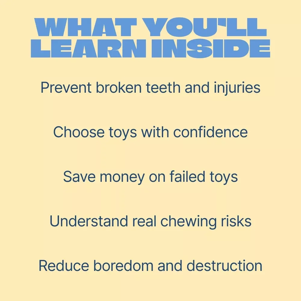 Built for Big Chewers, Not Broken Teeth – Practical Guide to Safe Toys for Heavy Chewers, Smart Toy Selection, and Injury Prevention for Power Chewing Dogs