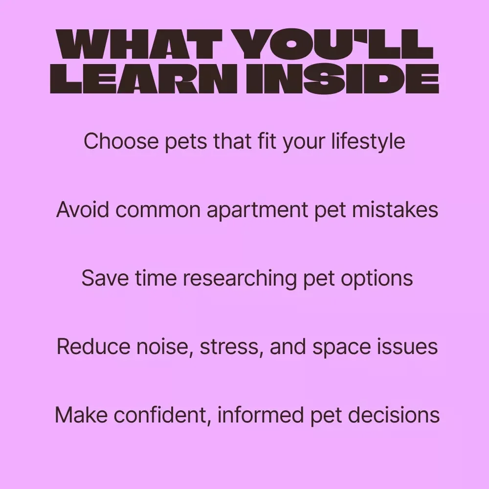 Choosing the Perfect Pet for Your Small Apartment – Practical Digital Guide to Finding the Best Pet for Small Apartment Living