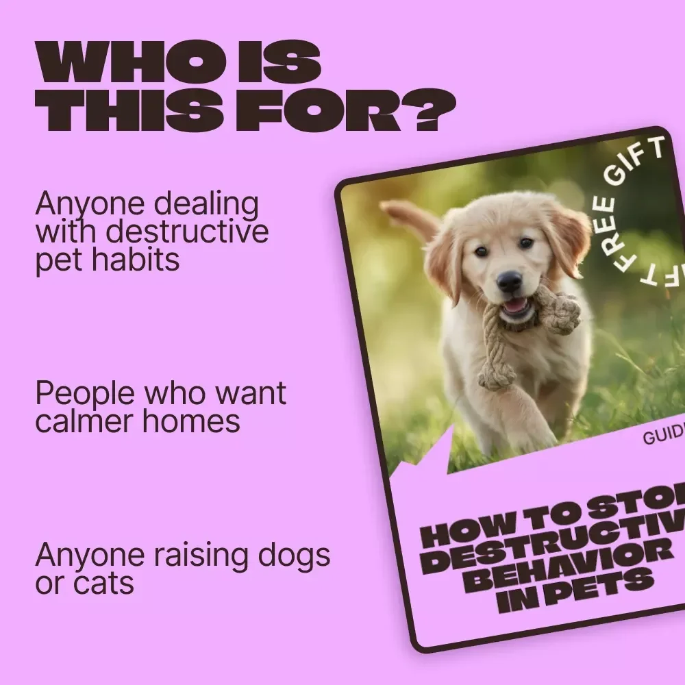 How to Stop Destructive Behavior in Pets | Practical Ebook Guide for Pet Owners | Training, Anxiety Relief & Daily Routines