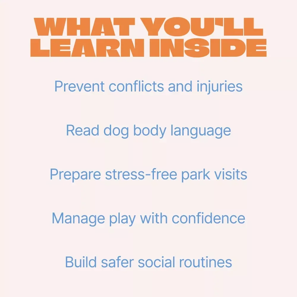 Paws in Play: Mastering Dog Park Safety | Practical Dog Park Safety Tips eBook for Confident, Stress-Free Park Visits