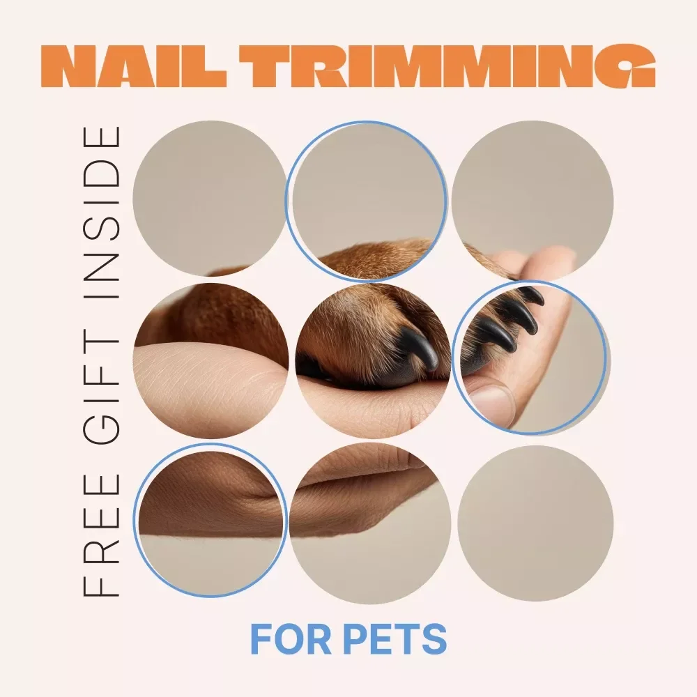 Safe Nail Trimming for Pets – Easy Guide on How to Trim Pet Nails Safely at Home | Stress-Free Dog & Cat Nail Care eBook