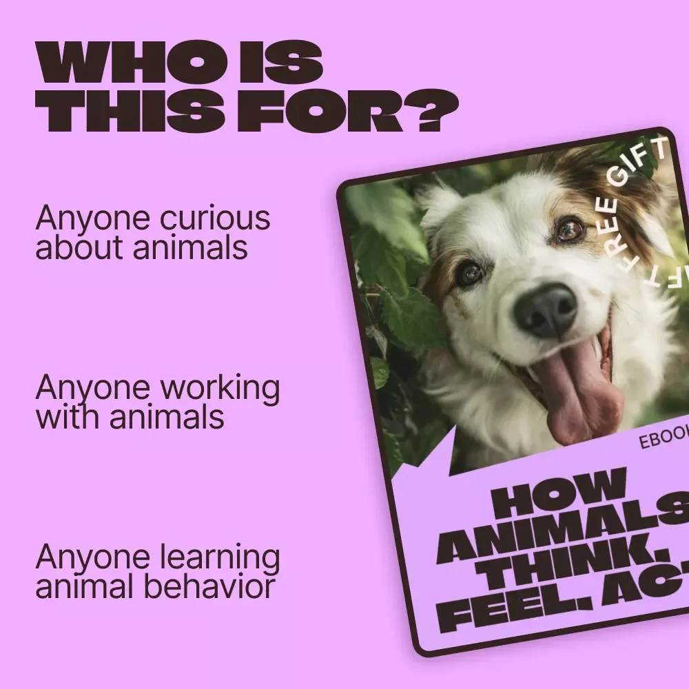 How Animals Think, Feel, Act | Animal Behavior Basics eBook | Practical Guide to Understanding Animal Emotions, Communication & Everyday Actions