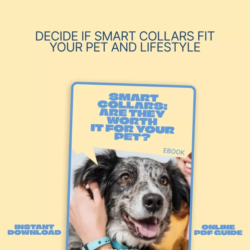 Smart Collars: Are They Worth It for Your Pet | Practical Pet Tech Guide for Owners Asking smart collars is it worth it