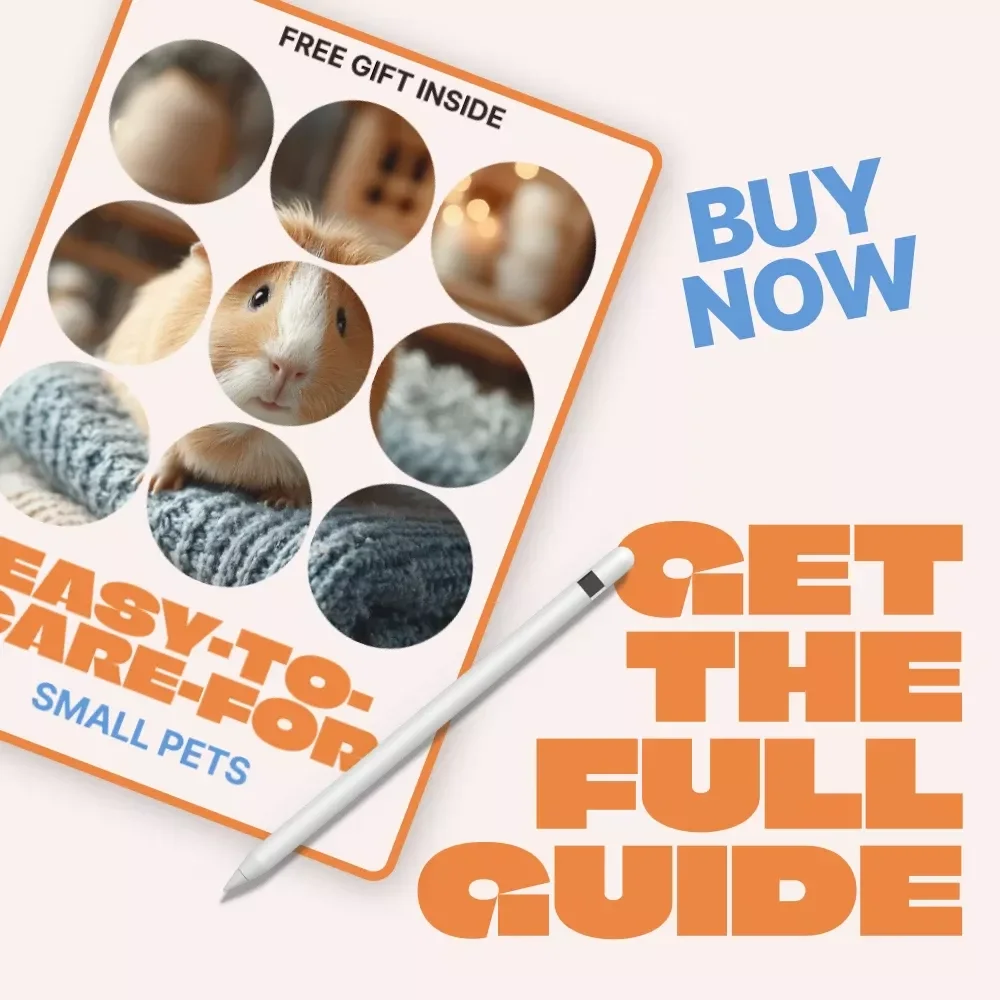 Easy-to-Care-For Small Pets – Beginner-Friendly Guide to Small Pets That Are Easy to Care For, Smart Pet Choices for Busy Lifestyles