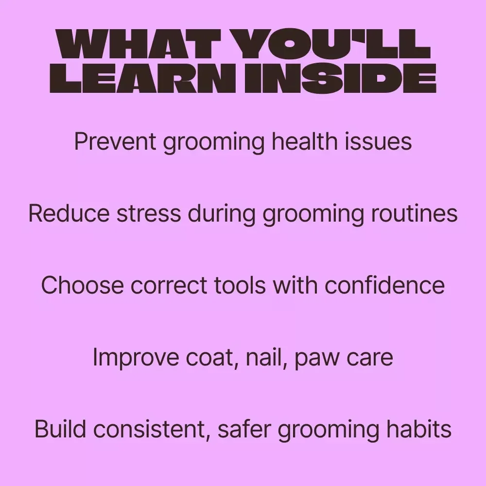 Grooming Mistakes Every Pet Owner Should Avoid | Essential eBook Guide to Grooming Mistakes to Avoid for Healthier, Happier Pets
