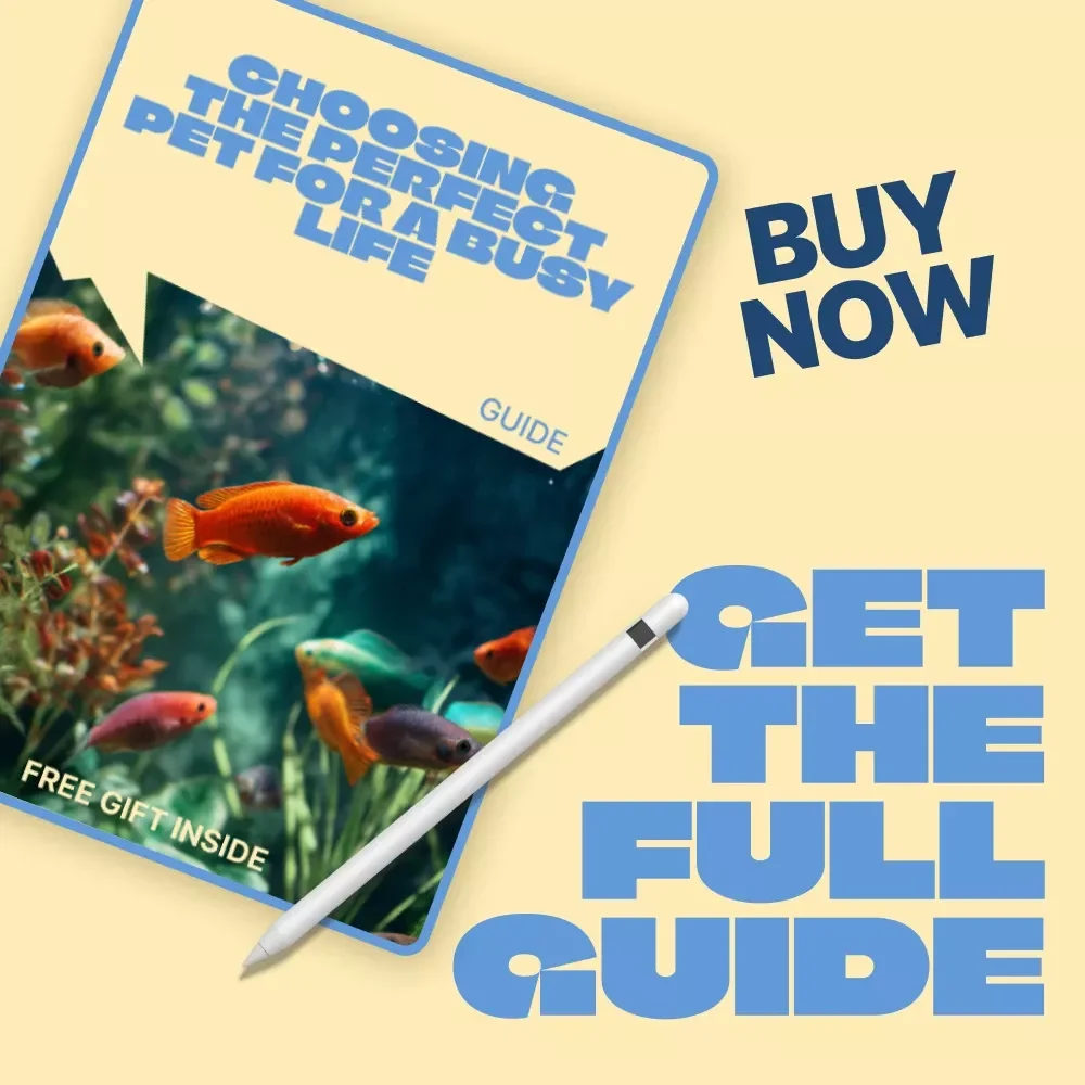 Choosing the Perfect Pet for a Busy Life – Smart Guide to Finding the best pet for busy people | Low-Maintenance Pets, Tools & Real-Life Tips