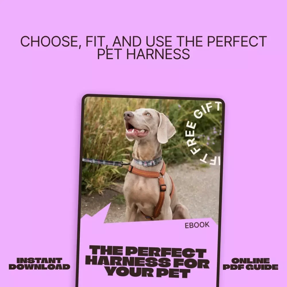The Perfect Harness for Your Pet | Ebook Guide on How to Choose a Pet Harness | Stress-Free Fit, Comfort & Walking Confidence