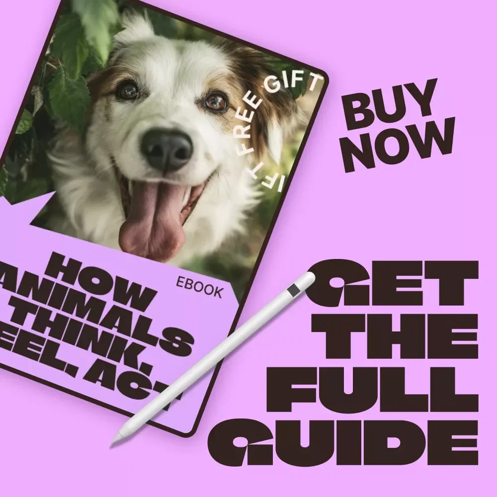 How Animals Think, Feel, Act | Animal Behavior Basics eBook | Practical Guide to Understanding Animal Emotions, Communication & Everyday Actions