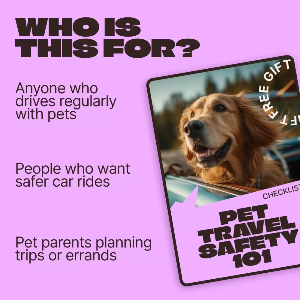 Pet Travel Safety 101: Car Seat Rules Checklist – Digital Pet Car Safety Guide, Pet Seatbelt & Carrier Safety, Dog & Cat Travel Checklist, Instant Download