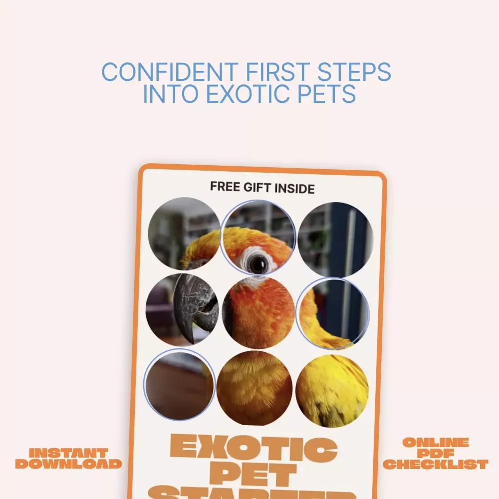 Exotic Pet Starter Checklist | Ultimate Beginner Guide for Exotic Pets for Beginners | Easy Care, Habitat & Feeding Setup