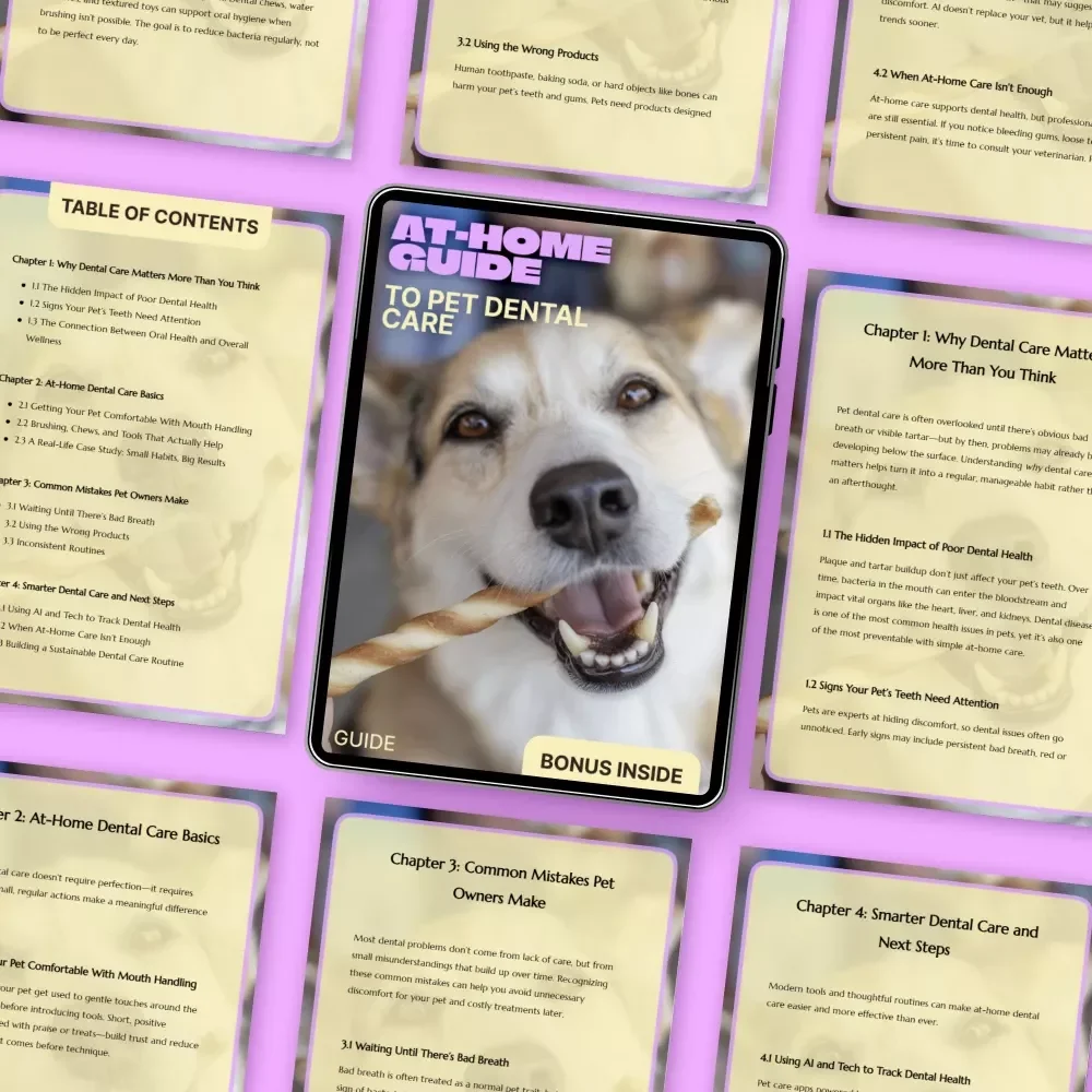 At-Home Guide to Pet Dental Care | Simple Pet Dental Care at Home Routine for Healthier Teeth & Happier Pets
