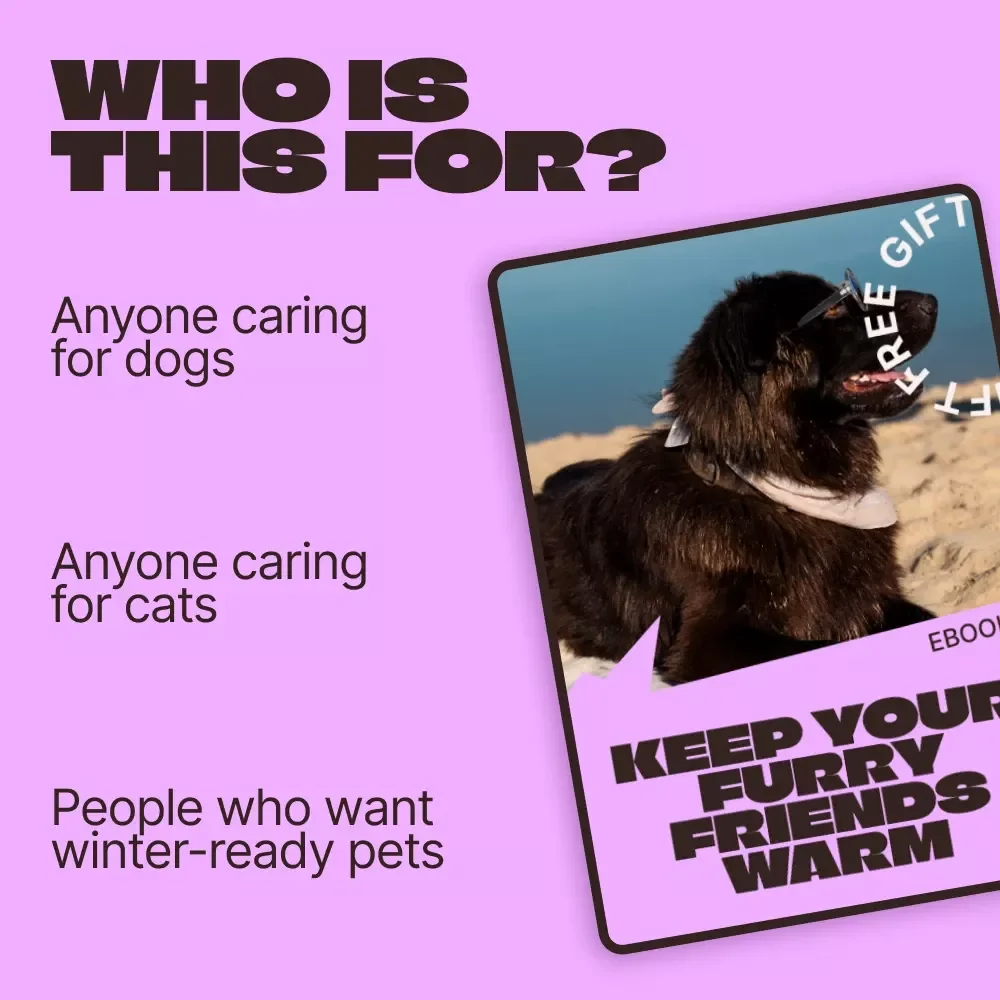 Keep Your Furry Friends Warm – Winter Pet Care eBook | Smart Pet Gear for Cold Climates Guide