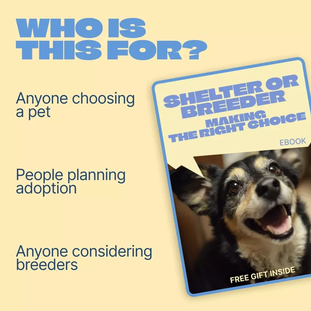 Shelter Or Breeder, Making the Right Choice | Honest Guide to shelter vs breeder differences | Pet Adoption & Buying Decision eBook