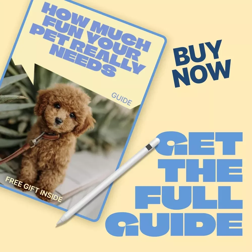 How Much Fun Your Pet Really Needs – Practical Guide to how much playtime pets need, Daily Play Balance, Interactive Ideas & Smarter Pet Enrichment