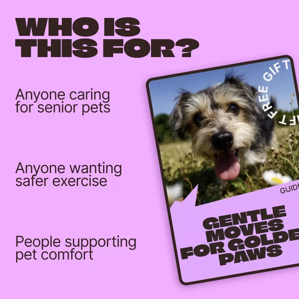 Gentle Moves for Golden Paws – A Practical Guide to Senior Pet Exercise Ideas for Aging Dogs & Cats