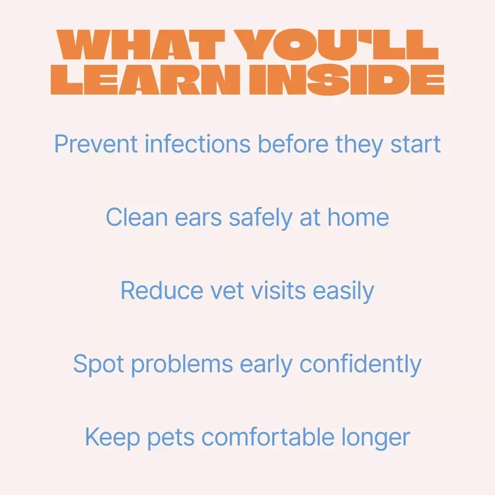Cleaning Your Pet’s Ears Safely – Easy Step-by-Step Guide to Ear Cleaning for Pets, Dogs & Cats