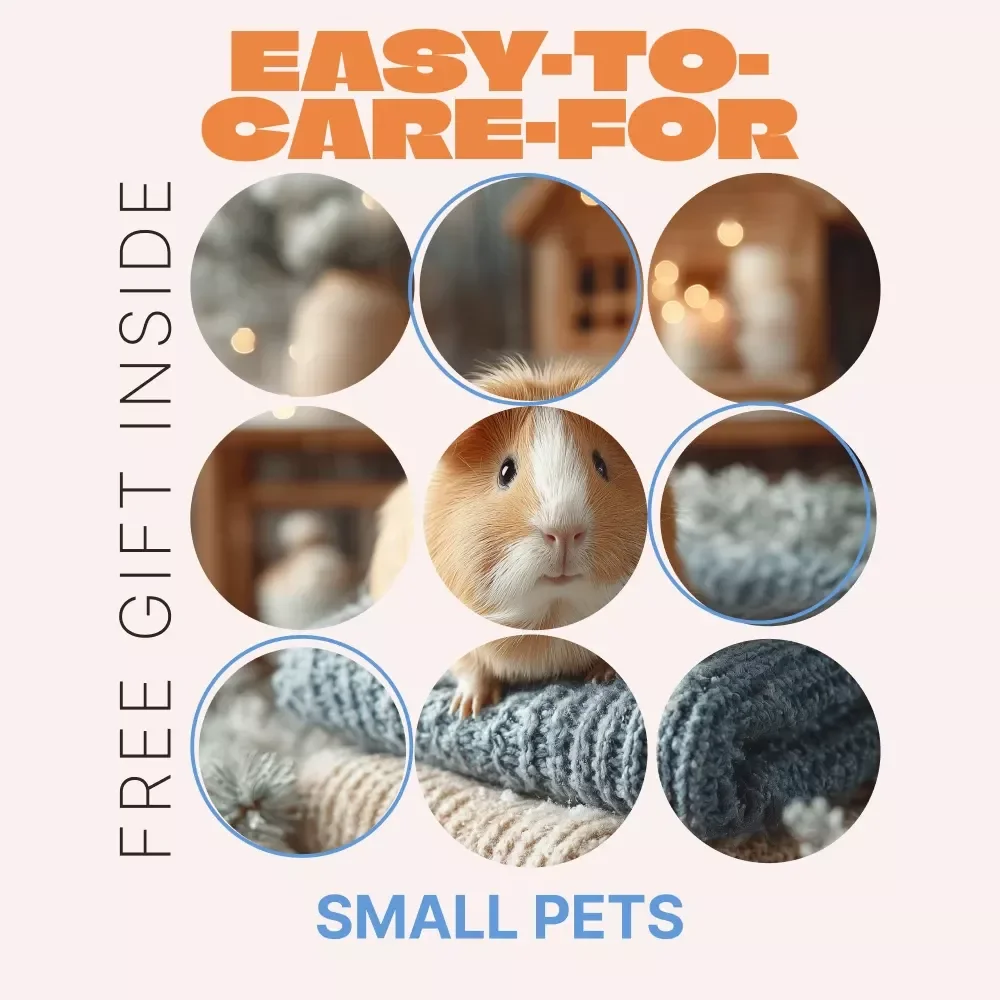 Easy-to-Care-For Small Pets – Beginner-Friendly Guide to Small Pets That Are Easy to Care For, Smart Pet Choices for Busy Lifestyles