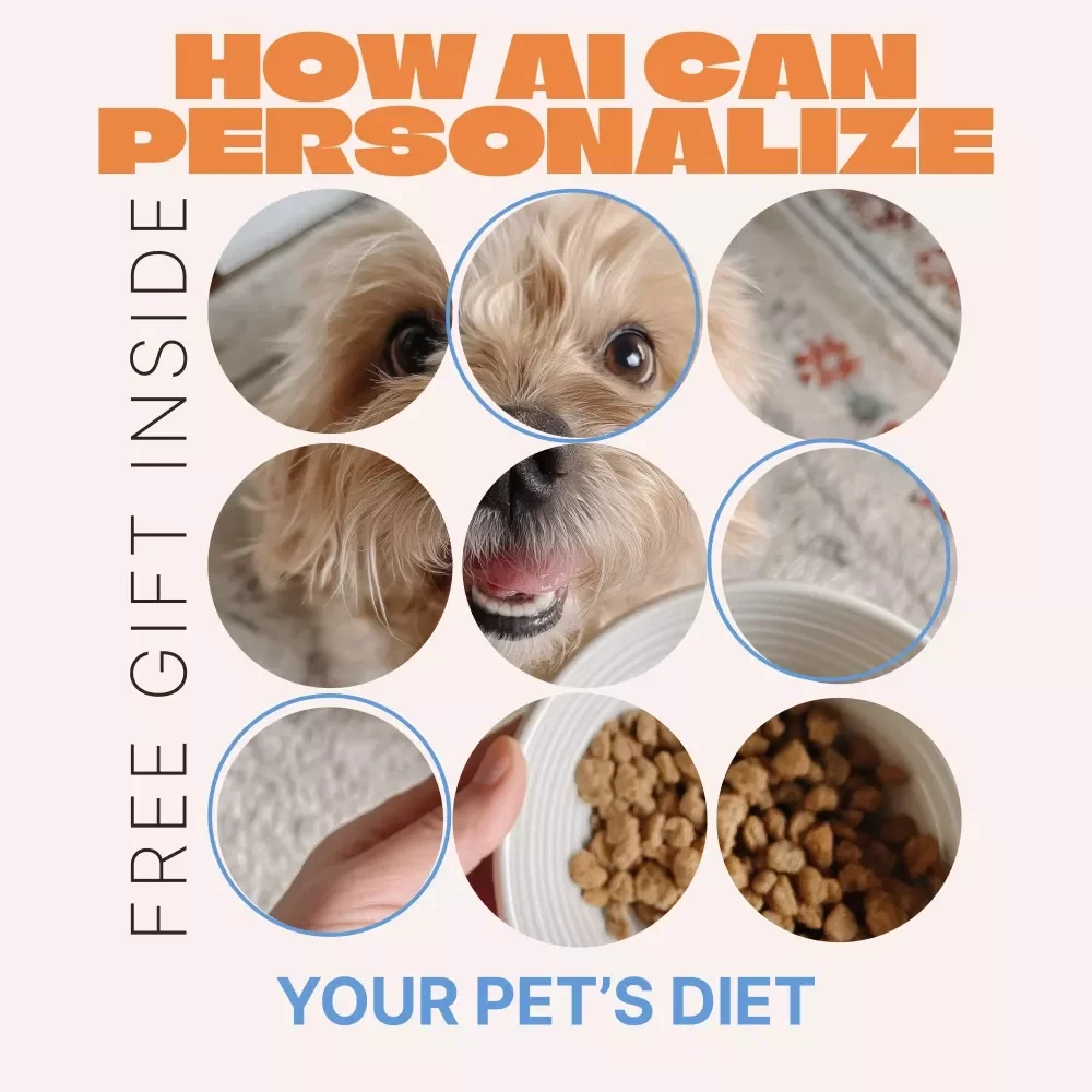 How AI Can Personalize Your Pet’s Diet – Smart Nutrition Guide for Healthier Pets | ai pet diet personalization Digital Guide