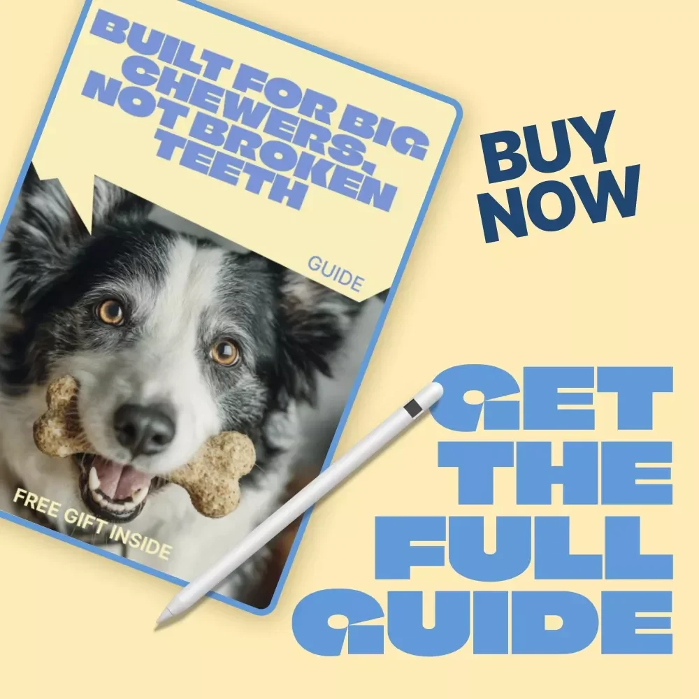 Built for Big Chewers, Not Broken Teeth – Practical Guide to Safe Toys for Heavy Chewers, Smart Toy Selection, and Injury Prevention for Power Chewing Dogs
