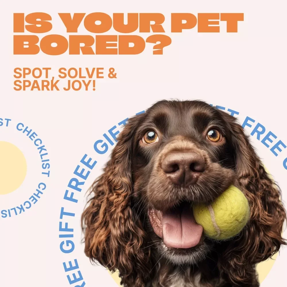 Is Your Pet Bored? Spot, Solve & Spark Joy! | Easy Checklist to Identify pets bored signs & Boost Daily Enrichment