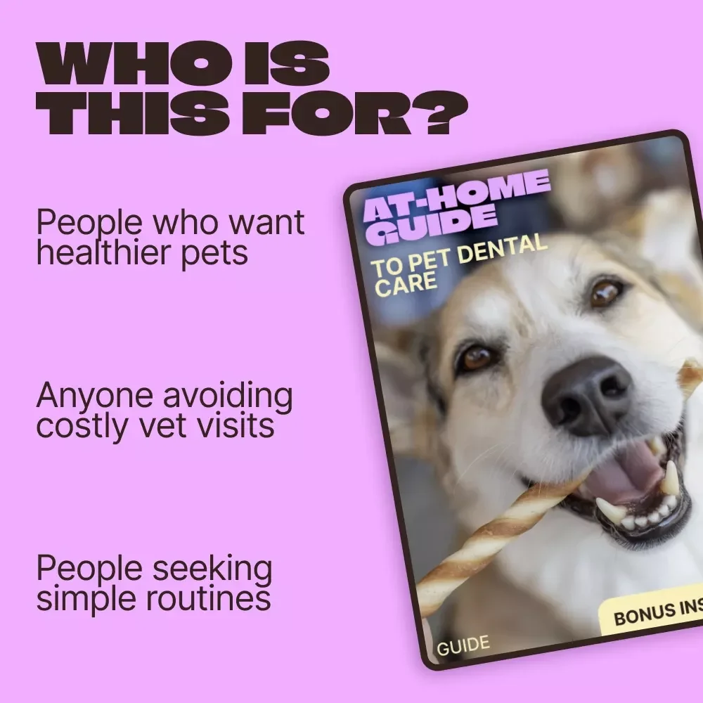 At-Home Guide to Pet Dental Care | Simple Pet Dental Care at Home Routine for Healthier Teeth & Happier Pets
